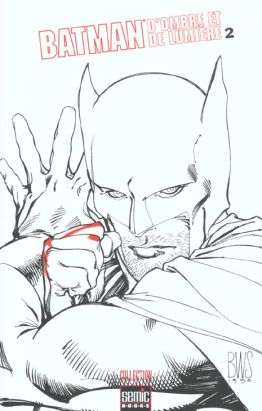 batman - d'ombre et de lumière tome 2 batman - d'ombre et de lumière tome 2