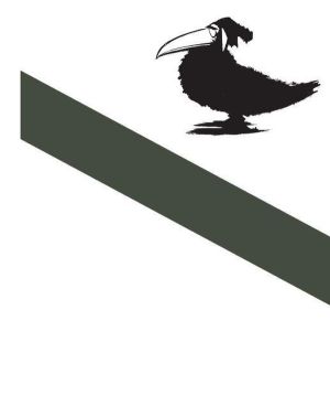 les oiseaux sont des cons