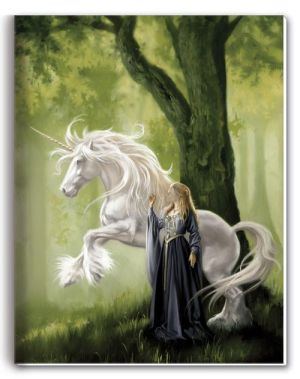 cahier princesse