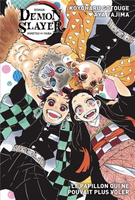 Demon slayer (roman) tome 2