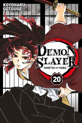 Demon slayer tome 20