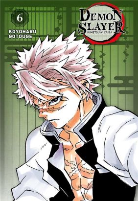 Demon Slayer - édition pilier tome 6