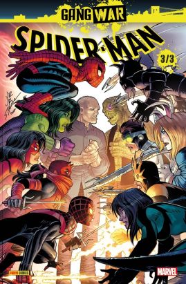 Spider-Man - Gang war tome 3