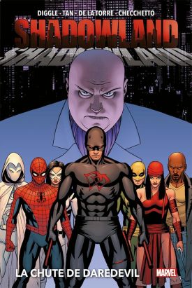 Shadowland - La chute de Daredevil