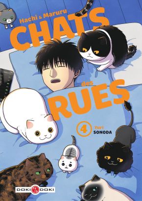 Hachi & Maruru - Chats des rues tome 4