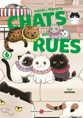 Hachi & Maruru - Chats des rues tome 6