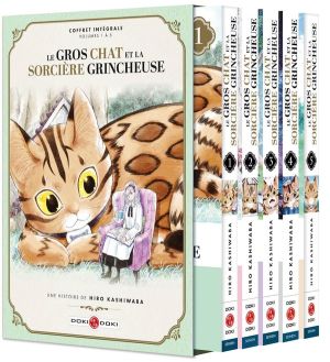 Le gros chat et la sorcière grincheuse - coffret tomes 1 à 5