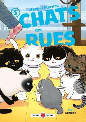 Hachi & Maruru - Chats des rues - coffret tomes 5 et 6
