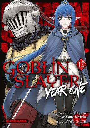 Goblin slayer - year one tome 12