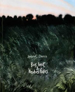 Bois brut et herbes folles