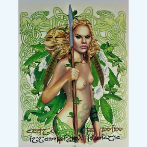 Affiche Merlin ; Brucero ; 40x50
