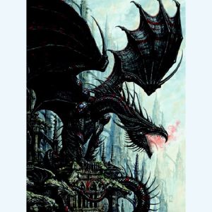 Affiche Couverture du livre dragon tome 1 - Ledroit - 50x70
