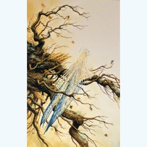Affiche Fée ; Ledroit ; 50x70