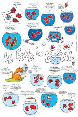 Affiche Le fond du bocal chat ; Poupon ; 40x60