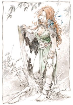 Affiche Pélisse 3 - Loisel - 50x70