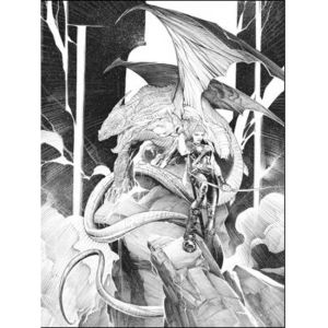 Affiche Matant le Dragon N°6 ; varanda ; Signée & Numérotée 200 ex. ; 30x40 Affiche Matant le Dragon N°6 ; varanda ; Signée & Numérotée 200 ex. ; 30x40