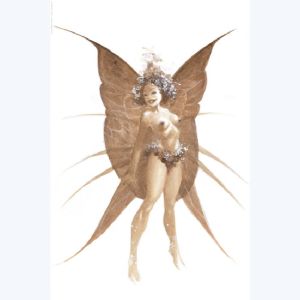Affiche Image du Portfolio Les Fées n°2 ; varanda  ; 20x30