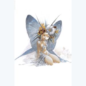 Affiche Image du Portfolio Les Fées n°4 ; varanda  ; 20x30