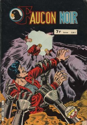 Faucon Noir (Arédit - Publication Flash) - Recueil 5989 (19, 20) (éd. 1981)