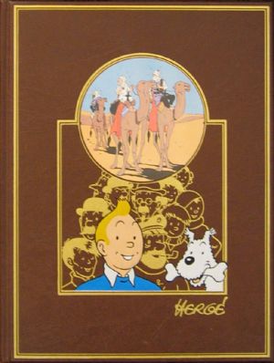 Tintin (Rombaldi) tome 5