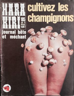 Hara Kiri (1ère série) tome 105