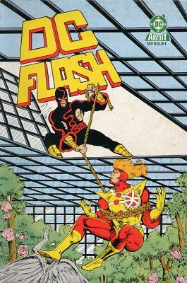 DC Flash tome 13