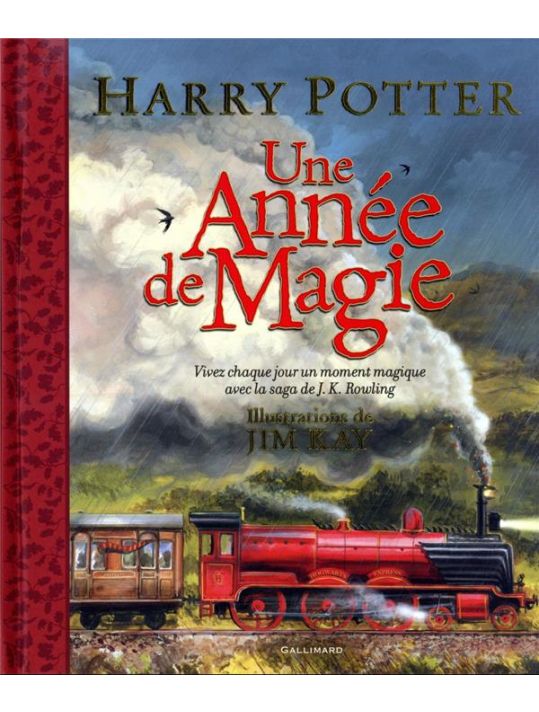 Harry Potter - Une année de magie main product photo