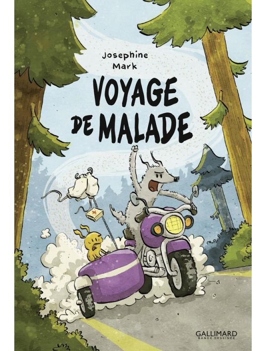 Voyage de malade main product photo