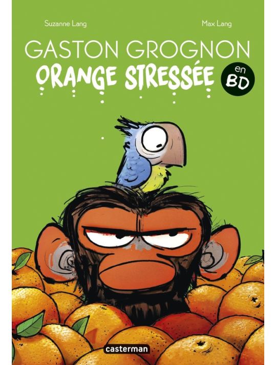 Gaston grognon tome 1 main product photo