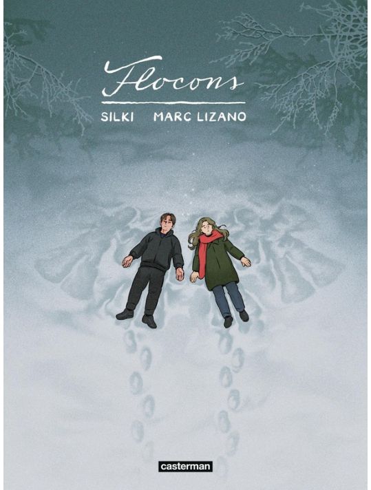 Flocons main product photo