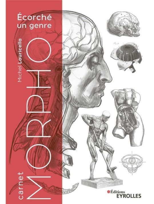 morpho : anatomie artistique : carnet morpho : écorche un genre main product photo