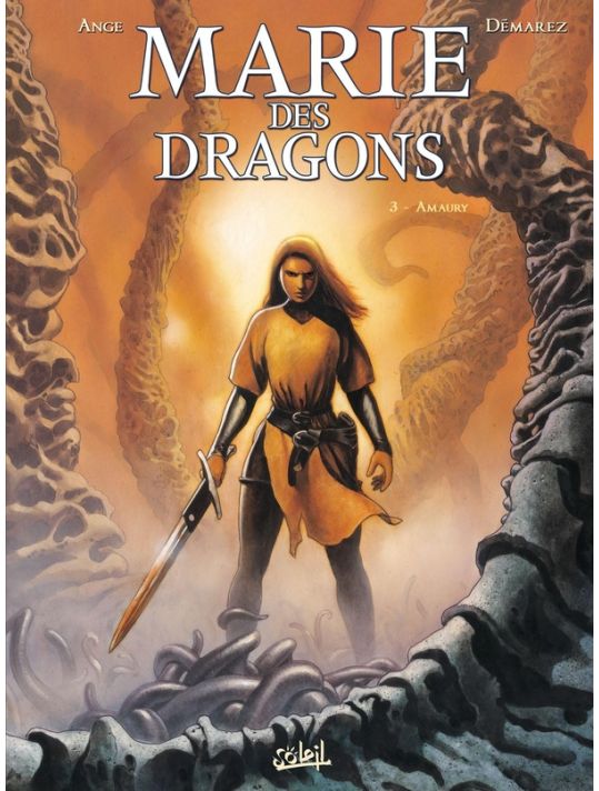 Marie Des Dragons Tome 3 ; Amaury main product photo