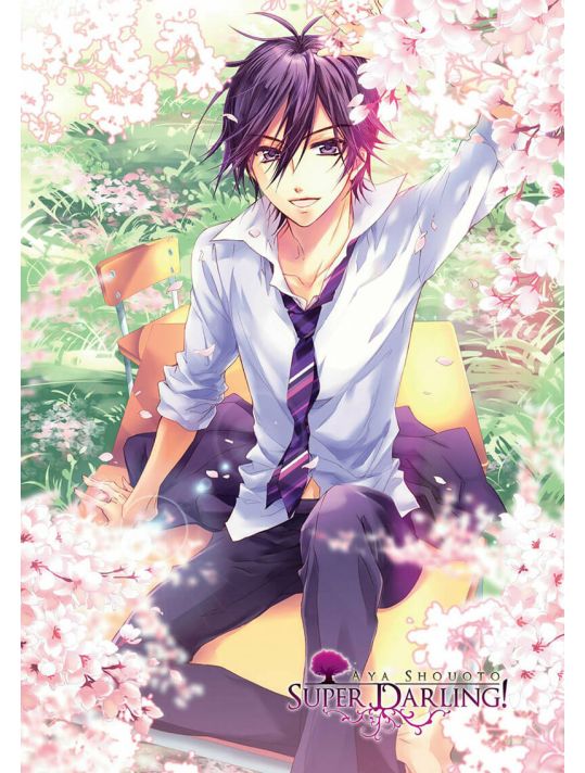 Super Darling ! tome 2 main product photo