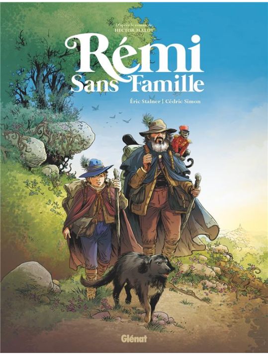 Rémi sans famille main product photo