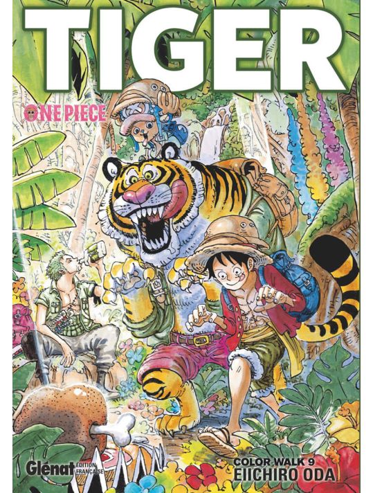 One piece color walk tome 9 main product photo