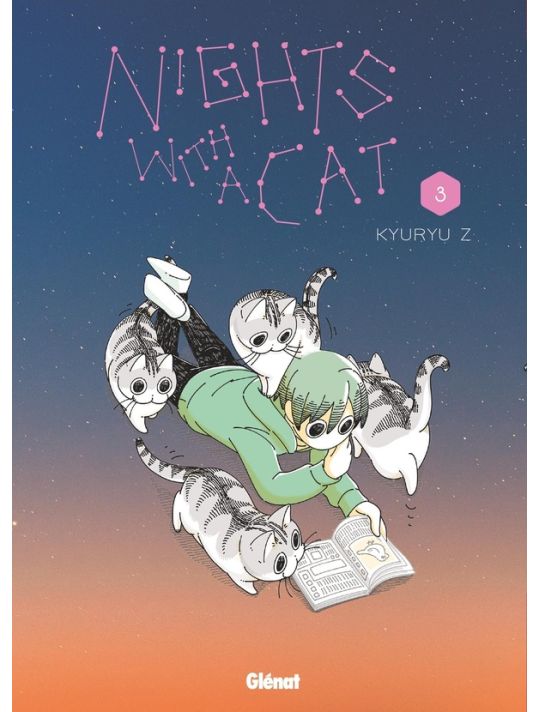 Nights with a cat tome 3 main product photo