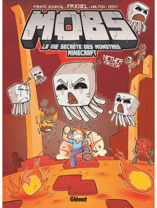 couverture de : Nether faceur