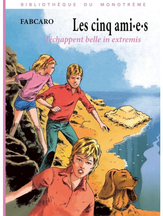 Les cinq ami.e.s l'échappent belle in extremis main product photo
