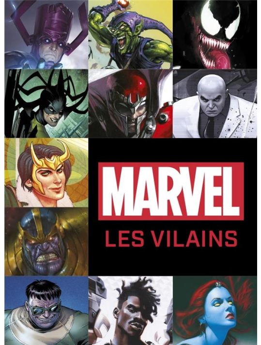 Marvel - Les vilains (format mini) main product photo