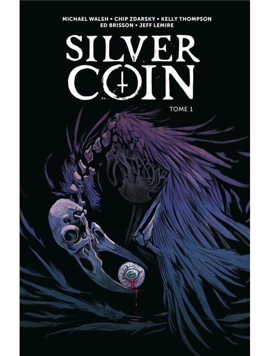 The silver coin tome 1 main product photo