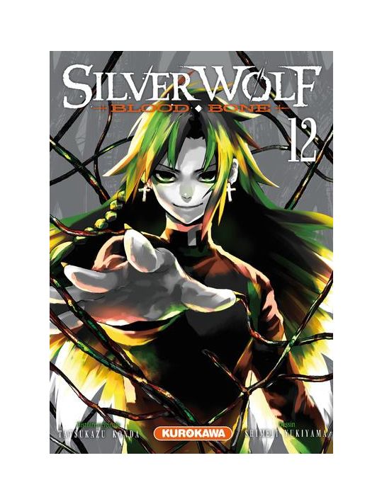 Silver wolf - blood bone tome 12 main product photo