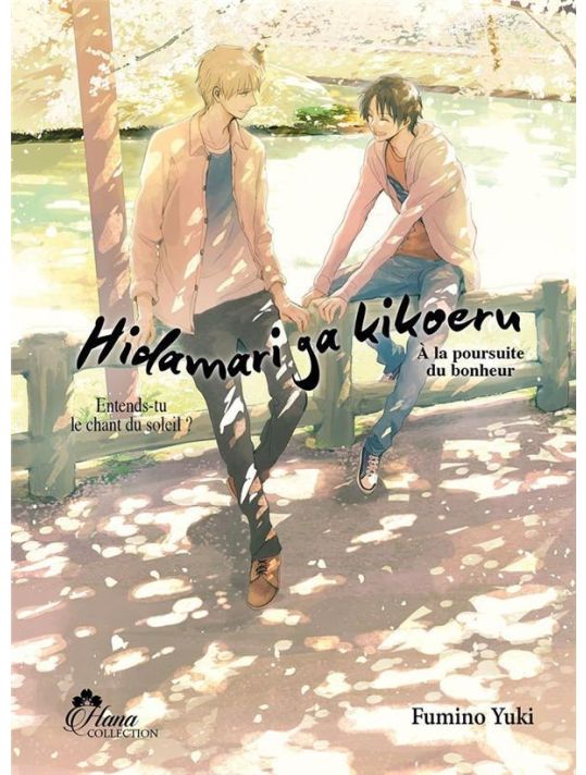 Hidamari ga kikoeru tome 2 main product photo