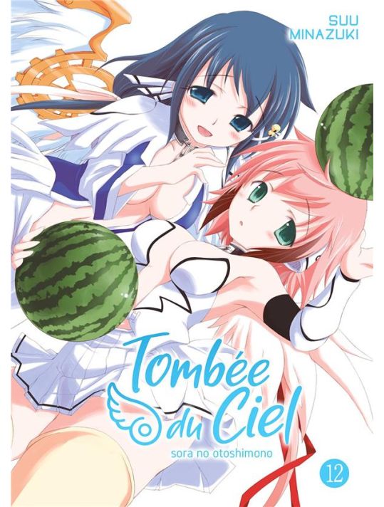 Tombée du ciel tome 12 main product photo