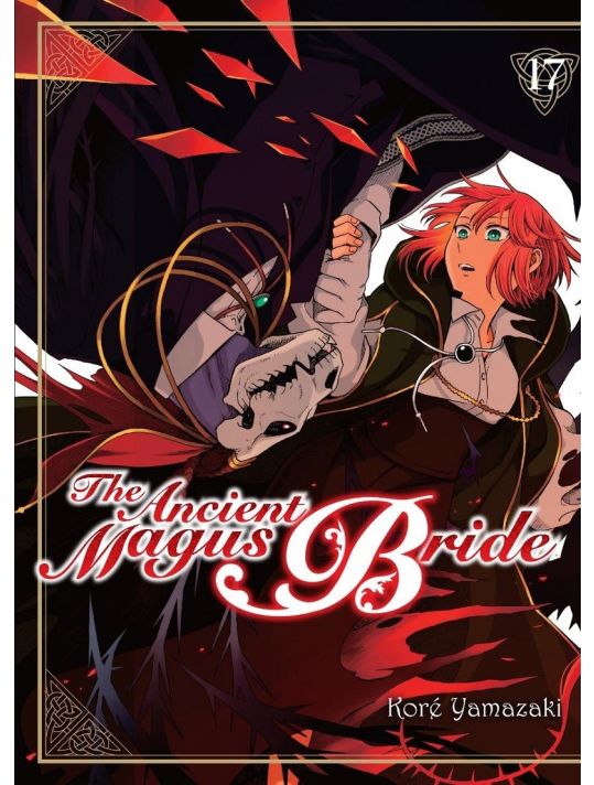 The ancient magus bride tome 17 main product photo