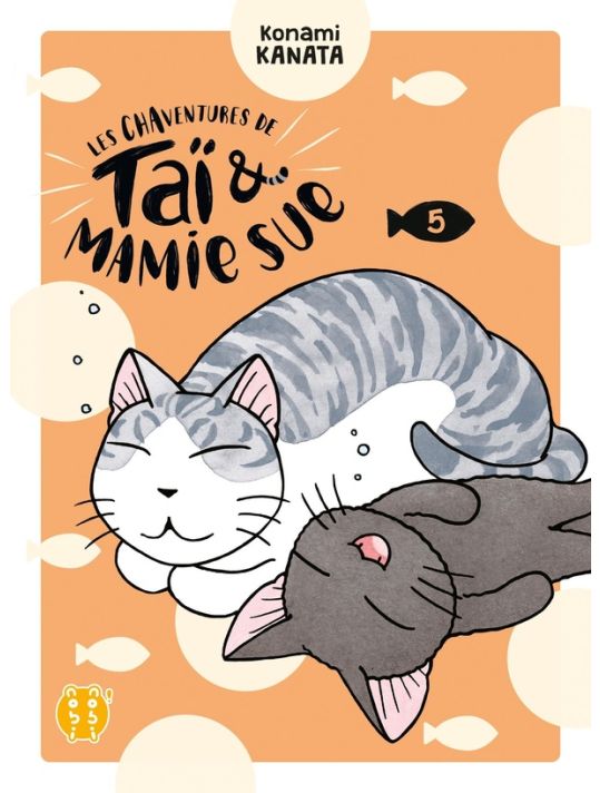 Les chaventures de Taï et Mamie Sue tome 5 main product photo