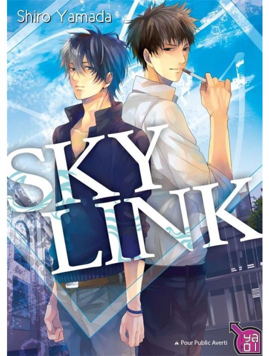 Sky link main product photo