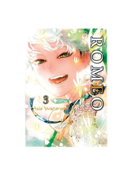 D.S.P. Romeo tome 3 main product photo