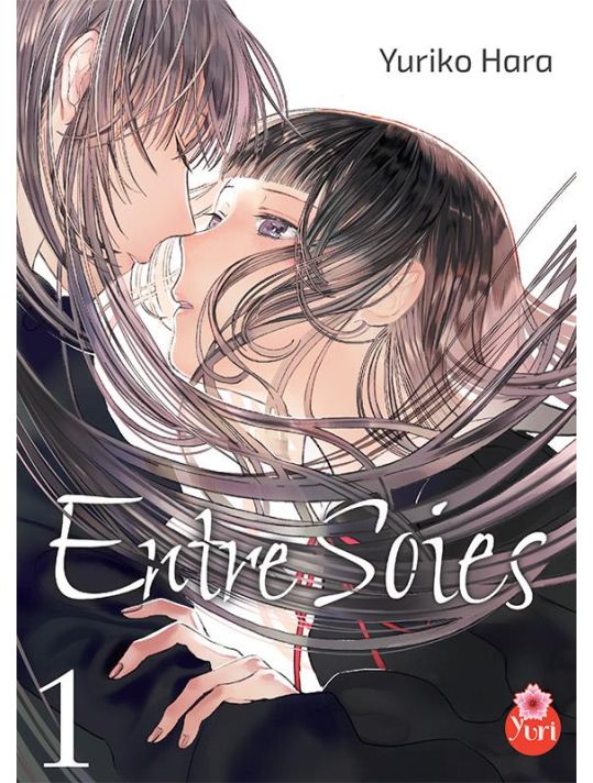 Entre soies tome 1 main product photo
