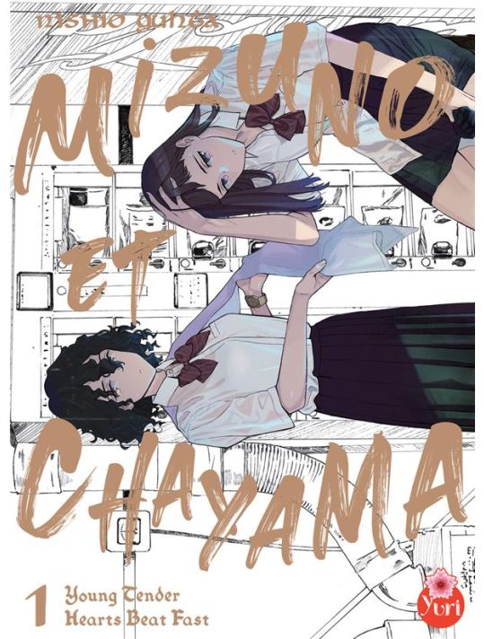 Mizuno et Chayama tome 1 main product photo