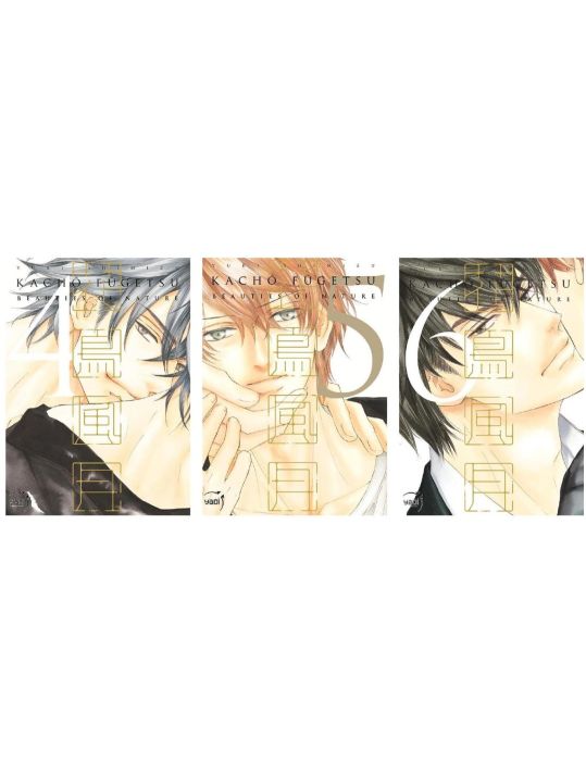 Kachô fûgetsu - beauties of nature - pack tomes 4 à 6 main product photo
